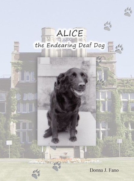 Alice the Endearing Deaf Dog